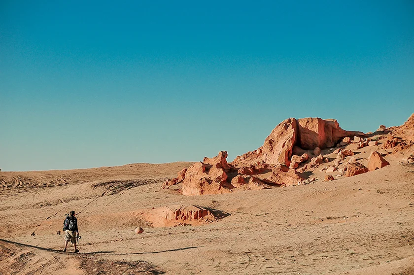 Gobi